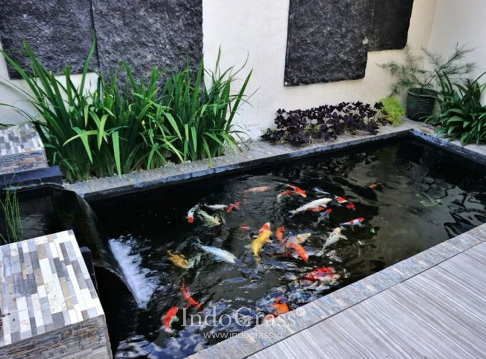 Jasa Pembuatan Kolam Koi Jakarta