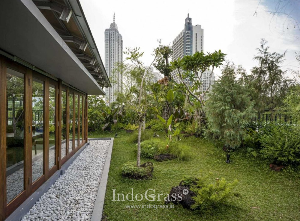 Tukang Taman Tangerang