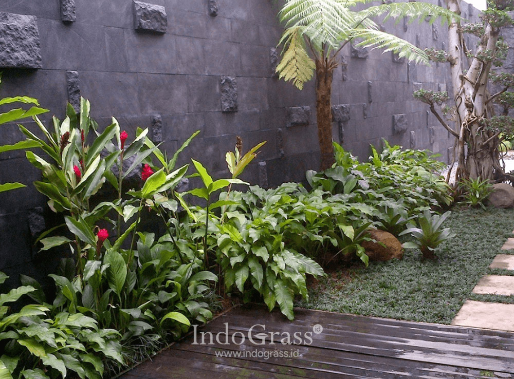 Tukang Taman Cikarang