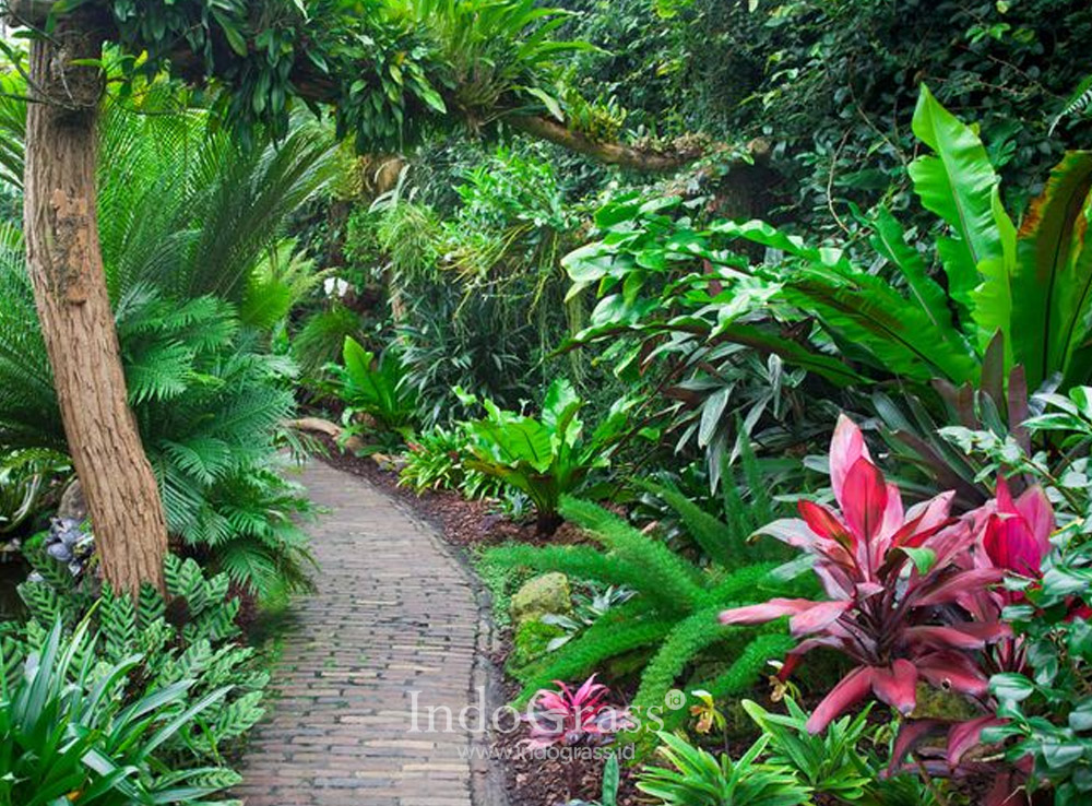 pembuatan taman tropis