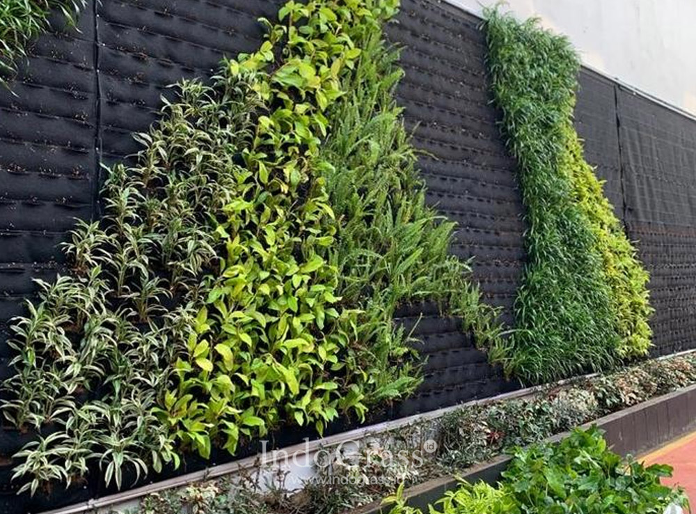 Vertical Garden dengan Penyiraman Otomatis